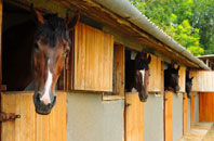 free Newton Park stable construction quotes